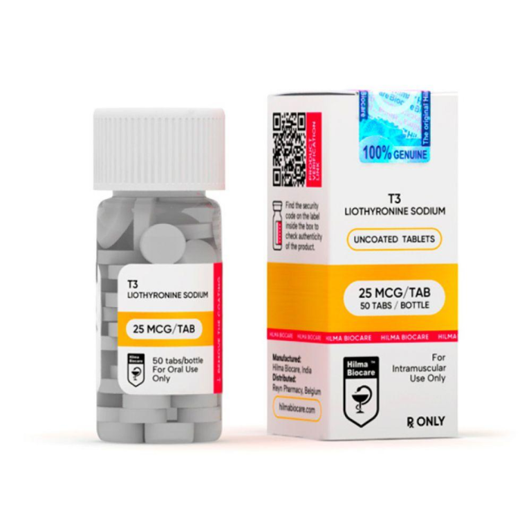 T3 - Image 1